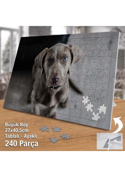Asil Hobi Kahverengi Sevimli Köpek - Hayvan Yapboz- Ayak Destekli Çerçeveli 240 Parça Puzzle fiyatları