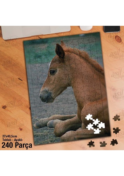 Asil Hobi Tay - At - Vahşi Hayvan Yapboz - Ayak Destekli Çerçeveli 240 Parça Puzzle