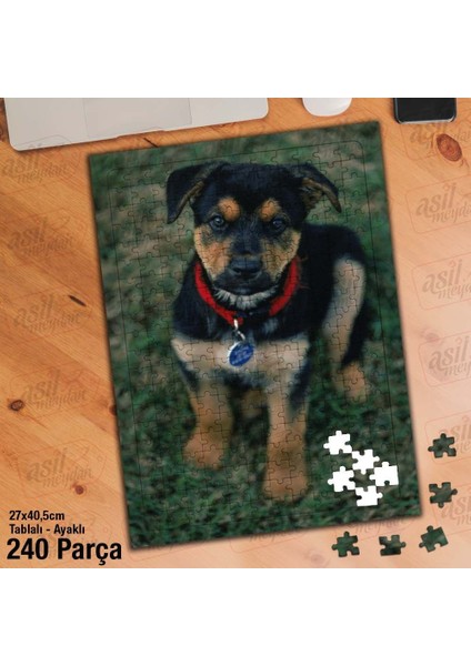 Asil Hobi Sevimli Köpek - Doğa -Hayvan Yapboz - Ayak Destekli Çerçeveli 240 Parça Puzzle