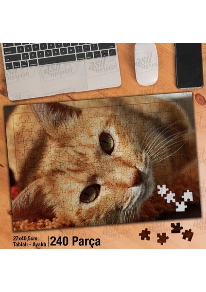 Asil Hobi Turuncu Kedicik - Masum - Sevimli Hayvan Yapboz- Ayak Destekli Çerçeveli 240 Parça Puzzle