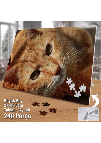 Asil Hobi Turuncu Kedicik - Masum - Sevimli Hayvan Yapboz- Ayak Destekli Çerçeveli 240 Parça Puzzle fiyatları