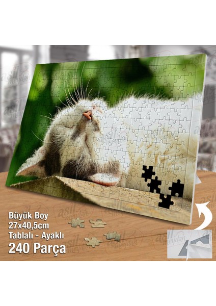 Asil Hobi Huzurlu Uyuyan Kedi-Evcil Hayvanlar-Doğa Yapboz -Ayak Destekli Çerçeveli 240 Parça Puzzle