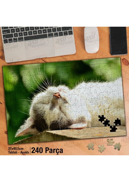 Asil Hobi Huzurlu Uyuyan Kedi-Evcil Hayvanlar-Doğa Yapboz -Ayak Destekli Çerçeveli 240 Parça Puzzle fiyatları