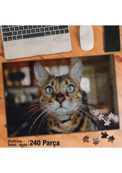 Asil Hobi Sevimli Yeşil Gözlü Kedicik - Hayvan Yapboz - Ayak Destekli Çerçeveli 240 Parça Puzzle