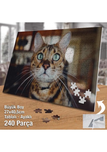 Asil Hobi Sevimli Yeşil Gözlü Kedicik - Hayvan Yapboz - Ayak Destekli Çerçeveli 240 Parça Puzzle