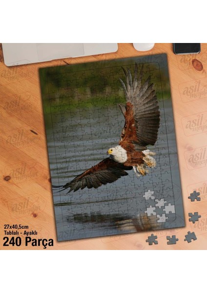 Asil Hobi Şahin - Yırtıcı Kuş - Deniz - Yansıma Yapboz - Ayak Destekli Çerçeveli 240 Parça Puzzle