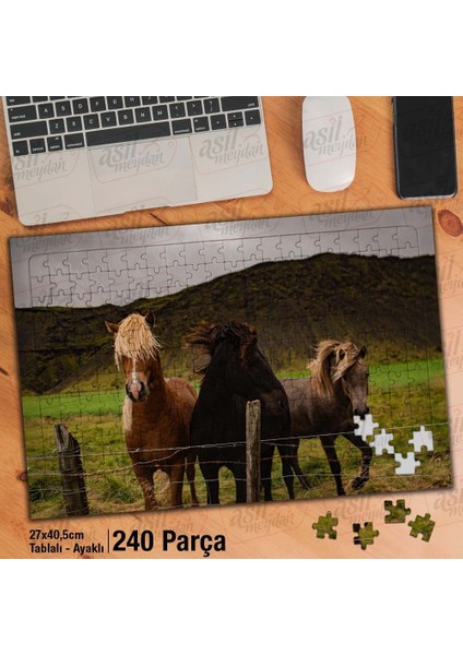Asil Hobi Tay Midilli - At - Vahşi Hayvan - Doğa Yapboz - Ayak Destekli Çerçeveli 240 Parça Puzzle