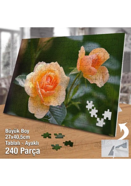 Asil Hobi Turuncu Gül - Çiçek -Bitki -Doğa Yapboz -Ayak Destekli Çerçeveli 240 Parça Puzzle