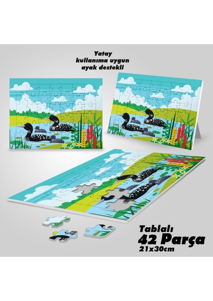 Asil Hobi Gölde Loon Kuş Ailesi - Çocuklar Için Eğitici Yapboz- Ayak Destekli 42 Parça Puzzle