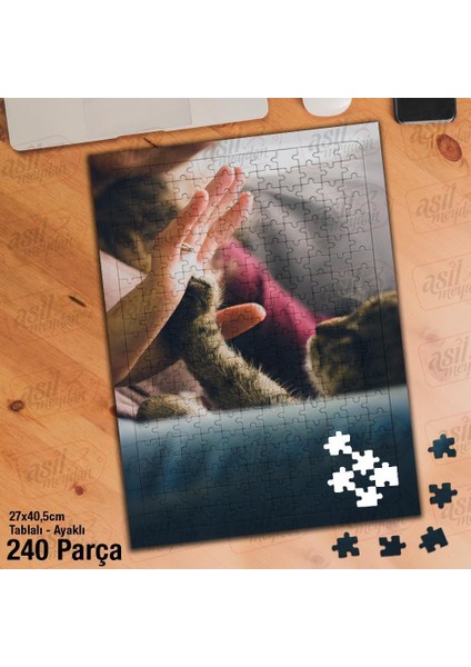 Asil Hobi Kedi - Sevimli Hayvan - Oyun Yapboz - Ayak Destekli Çerçeveli 240 Parça Puzzle