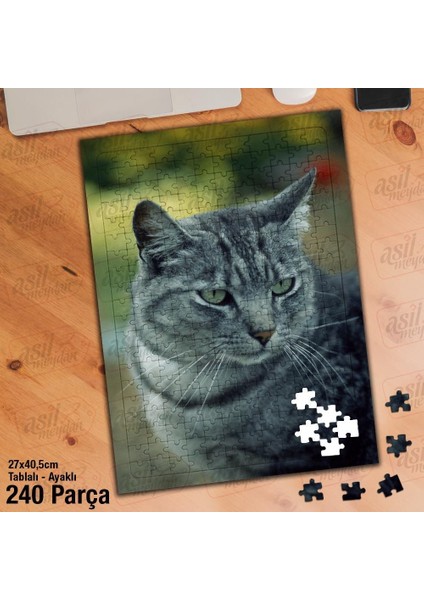 Asil Hobi Yeşil Gözlü Sevimli Kedi - Hayvan Yapboz - Ayak Destekli Çerçeveli 240 Parça Puzzle
