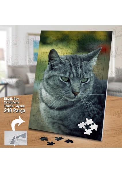 Asil Hobi Yeşil Gözlü Sevimli Kedi - Hayvan Yapboz - Ayak Destekli Çerçeveli 240 Parça Puzzle fiyatları