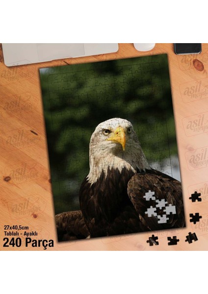 Asil Hobi Şahin - Kartal - Yırtıcı Hayvan - Doğa Yapboz - Ayak Destekli Çerçeveli 240 Parça Puzzle