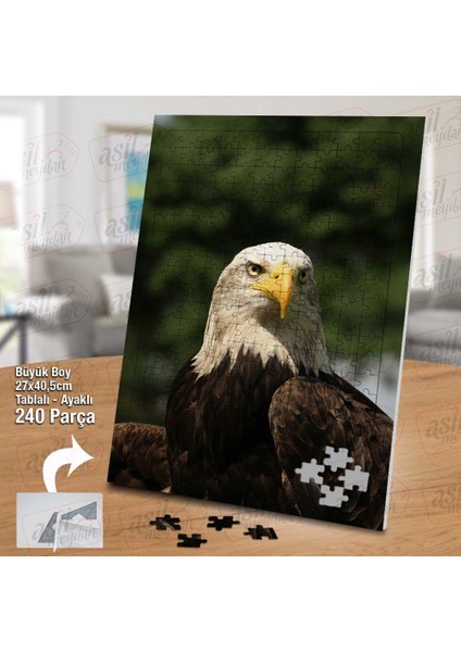 Asil Hobi Şahin - Kartal - Yırtıcı Hayvan - Doğa Yapboz - Ayak Destekli Çerçeveli 240 Parça Puzzle fiyatları