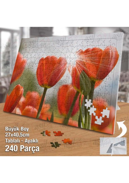 Asil Hobi Turuncu Laleler - Bitki -Çiçek -Doğa Yapboz - Ayak Destekli Çerçeveli 240 Parça Puzzle