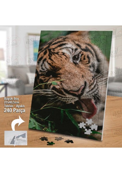 Asil Hobi Kaplan - Vahşi Hayvan - Doğa Yapboz - Ayak Destekli Çerçeveli 240 Parça Puzzle fiyatları