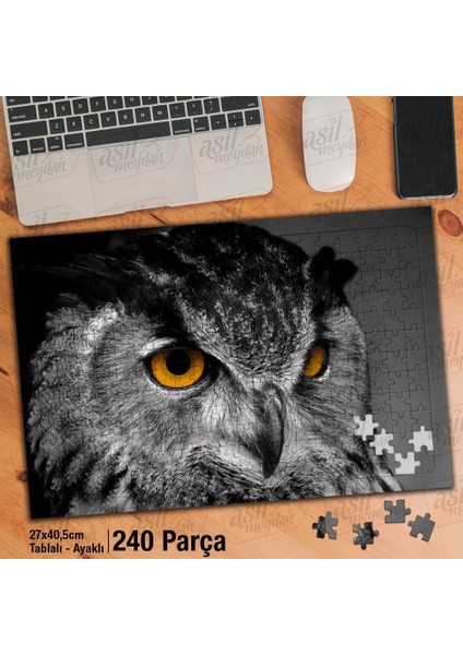 Asil Hobi Baykuş - Yırtıcı Kuş - Vahşi Hayvan Yapboz - Ayak Destekli Çerçeveli 240 Parça Puzzle