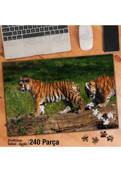 Asil Hobi Kaplan Yavruları - Doğa - Vahşi Hayvan Yapboz - Ayak Destekli Çerçeveli 240 Parça Puzzle