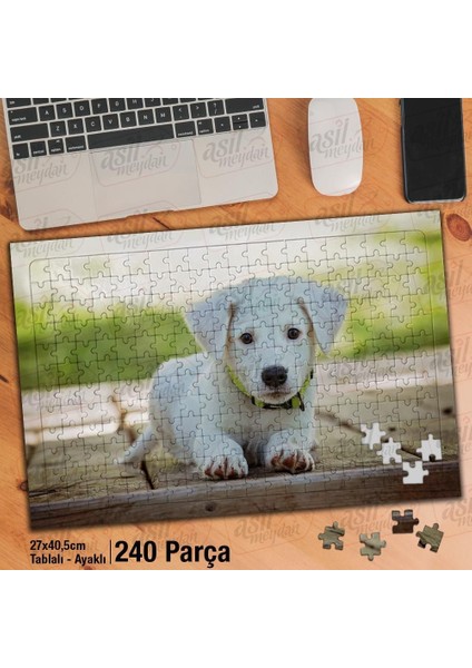Asil Hobi Yavru Beyaz Köpek -Evcil Hayvanlar -Doğa Yapboz -Ayak Destekli Çerçeveli 240 Parça Puzzle