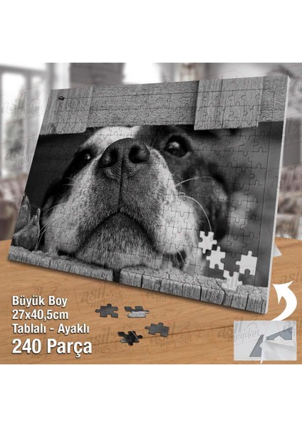 Asil Hobi Tahta Arasından Bakan Sevimli Köpek Yapboz -Ayak Destekli Çerçeveli 240 Parça Puzzle fiyatları