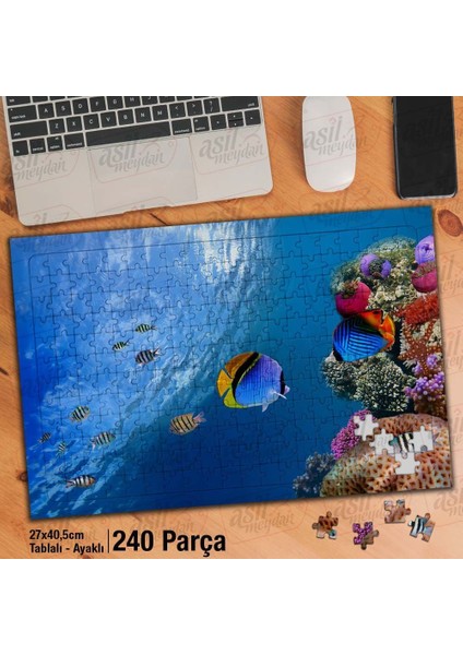 Asil Hobi Rengarenk Okyanus Baklıkları - Deniz Yapboz -Ayak Destekli Çerçeveli 240 Parça Puzzle