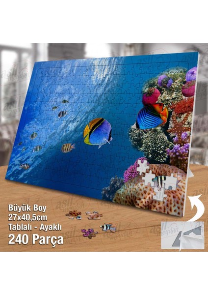 Asil Hobi Rengarenk Okyanus Baklıkları - Deniz Yapboz -Ayak Destekli Çerçeveli 240 Parça Puzzle fiyatları