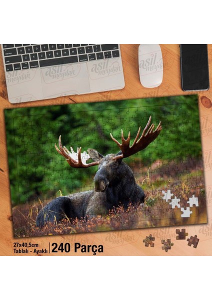Asil Hobi Siyah Geyik - Vahşi Hayvan - Doğa Yapboz - Ayak Destekli Çerçeveli 240 Parça Puzzle