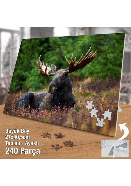 Asil Hobi Siyah Geyik - Vahşi Hayvan - Doğa Yapboz - Ayak Destekli Çerçeveli 240 Parça Puzzle fiyatları