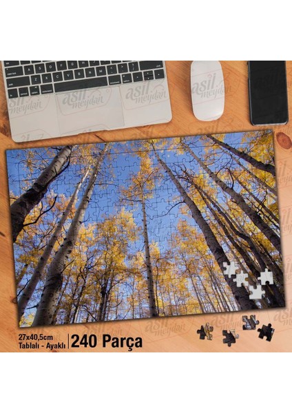 Asil Hobi Yaprakları Dökülmüş Ağaçlar -Orman -Doğa Yapboz -Ayak Destekli Çerçeveli 240 Parça Puzzle