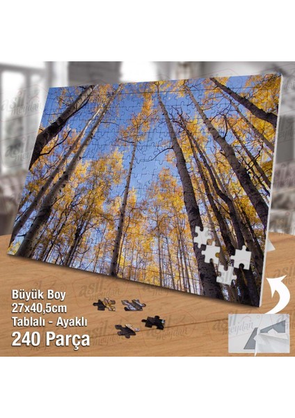 Asil Hobi Yaprakları Dökülmüş Ağaçlar -Orman -Doğa Yapboz -Ayak Destekli Çerçeveli 240 Parça Puzzle