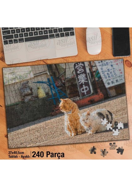 Asil Hobi Turuncu ve Beyaz Kedi -Sevimli Hayvanlar Yapboz - Ayak Destekli Çerçeveli 240 Parça Puzzle