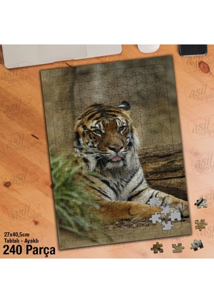 Asil Hobi Kaplan - Orman - Vahşi Yaşam -Doğa -Hayvan Yapboz-Ayak Destekli Çerçeveli 240 Parça Puzzle