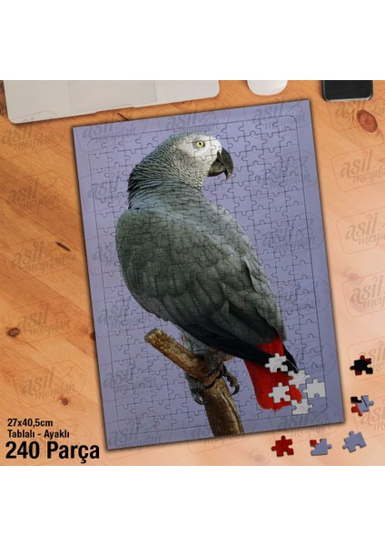 Asil Hobi Papağan - Kuş - Amazon - Afrika - Hayvan Yapboz-Ayak Destekli Çerçeveli 240 Parça Puzzle