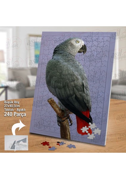 Asil Hobi Papağan - Kuş - Amazon - Afrika - Hayvan Yapboz-Ayak Destekli Çerçeveli 240 Parça Puzzle fiyatları
