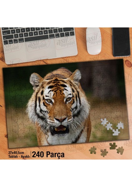 Asil Hobi Kükreyen Kaplan - Vahşi Yaşam - Hayvan Yapboz-Ayak Destekli Çerçeveli 240 Parça Puzzle