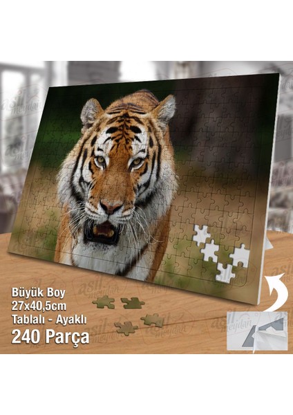 Asil Hobi Kükreyen Kaplan - Vahşi Yaşam - Hayvan Yapboz-Ayak Destekli Çerçeveli 240 Parça Puzzle fiyatları