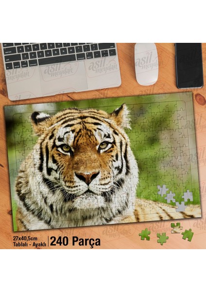 Asil Hobi Kaplan - Orman -Amazon - Hayvan Yapboz-Ayak Destekli Çerçeveli 240 Parça Puzzle