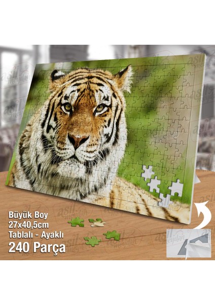 Asil Hobi Kaplan - Orman -Amazon - Hayvan Yapboz-Ayak Destekli Çerçeveli 240 Parça Puzzle fiyatları