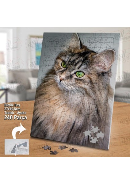Asil Hobi Sevimli Tüylü Kedi - Hayvan Yapboz - Ayak Destekli Çerçeveli 240 Parça Puzzle fiyatları
