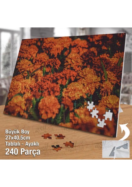 Asil Hobi Kadife Çiçeği - Doğa - Bahçe - Yaz Yapboz -Ayak Destekli Çerçeveli 240 Parça Puzzle fiyatları