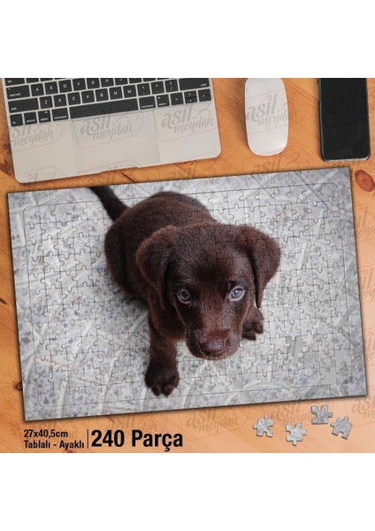 Asil Hobi Köpek Yavrusu - Labrador- Safkan Köpeği Yapboz -Ayak Destekli Çerçeveli 240 Parça Puzzle