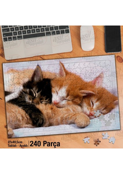 Uyuyan Üç Yavru Kedi- Sevimli Hayvanlar Yapboz -Ayak Destekli Çerçeveli 240 Parça Puzzle