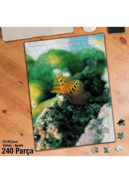 Asil Hobi Deniz Canlıları - Hayvan - Doğa Yapboz - Ayak Destekli Çerçeveli 240 Parça Puzzle