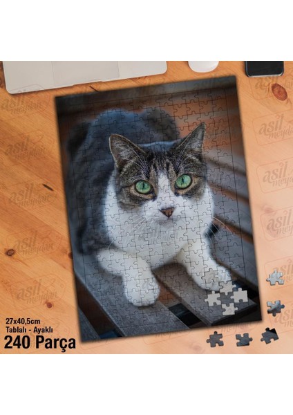 Asil Hobi Sevimli Kedi - Hayvan - Canlı Yapboz - Ayak Destekli Çerçeveli 240 Parça Puzzle
