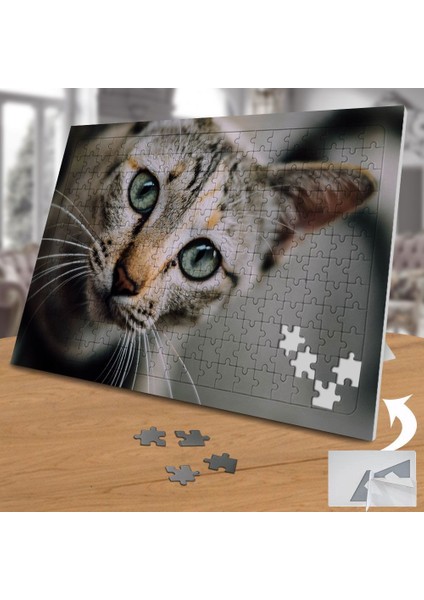 Geniş Objektif Sokak Kedisi 240 Parça Puzzle YAPBOZ-1081951
