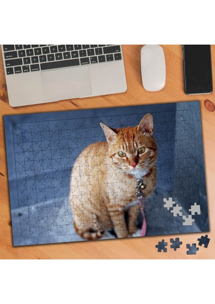 Sarı Tüylü Sevimli Kedi 240 Parça Puzzle YAPBOZ-74530