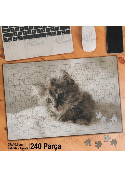 Asil Hobi Masum Yavru Kedi - Sevimli Hayvan - Doğa Yapboz -Ayak Destekli Çerçeveli 240 Parça Puzzle