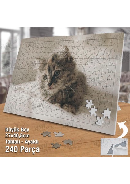 Asil Hobi Masum Yavru Kedi - Sevimli Hayvan - Doğa Yapboz -Ayak Destekli Çerçeveli 240 Parça Puzzle fiyatları