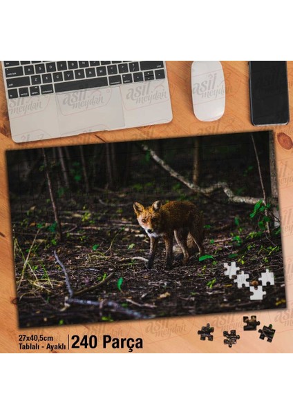 Asil Hobi Orman - Yavru Tilki - Vahşi Hayvan Yapboz - Ayak Destekli Çerçeveli 240 Parça Puzzle