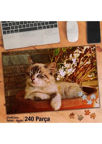 Asil Hobi Saksıda Uyuyakalan Sevimli Kedi- Hayvan Yapboz -Ayak Destekli Çerçeveli 240 Parça Puzzle